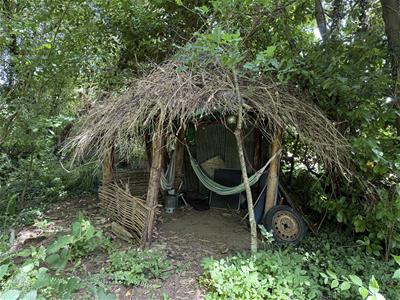 Picture 24